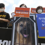 South Korea's president raises ban on eating dog meat: "Hasn't the time come?"