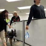 Miami International says it's the first US airport to test COVID-19 detector dogs.